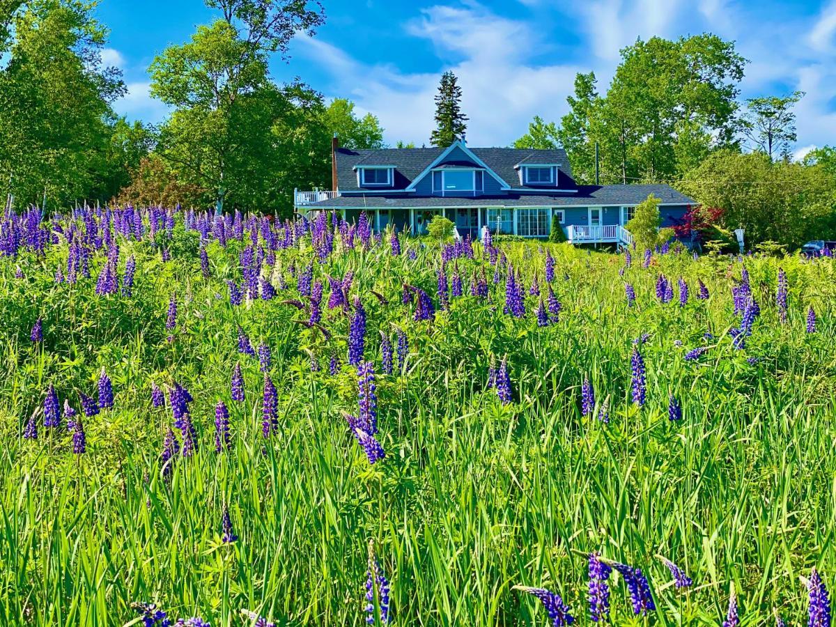 Broadwater Inn & Cottages Baddeck Inlet Eksteriør billede